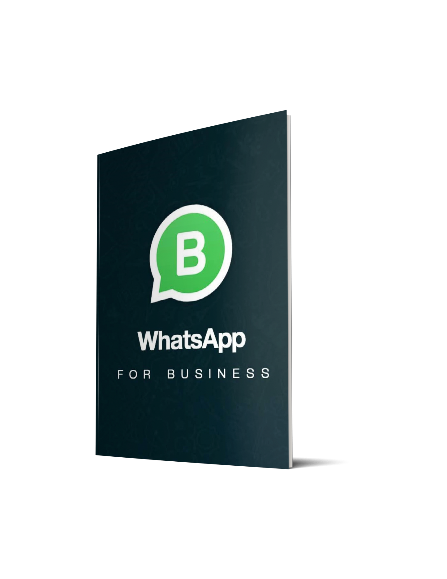 WhatsApp for Business eMagazine